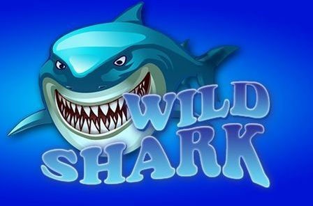 wildshark