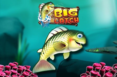 bigcatch