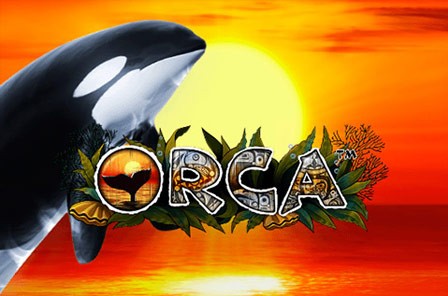 orca