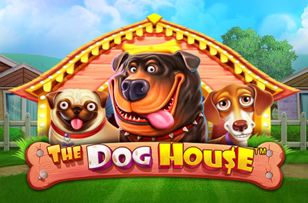 vs20doghouse
