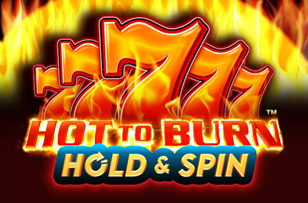 vs20hburnhs