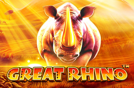 vs20rhino