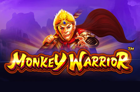 vs243mwarrior