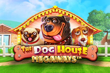 vswaysdogs